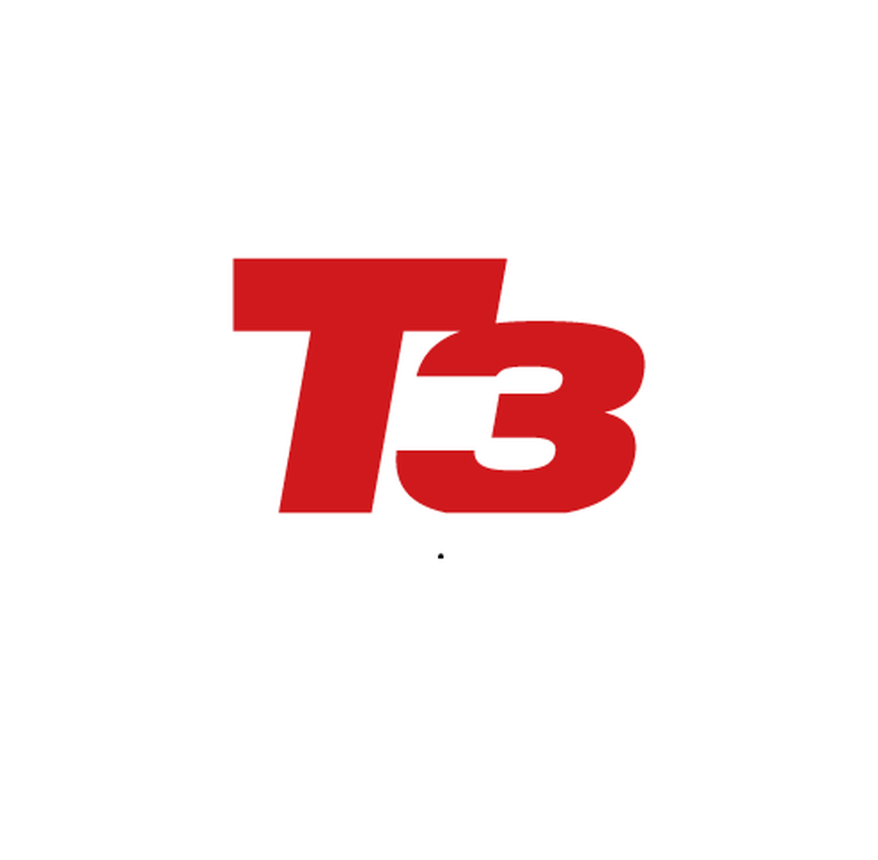 T3
